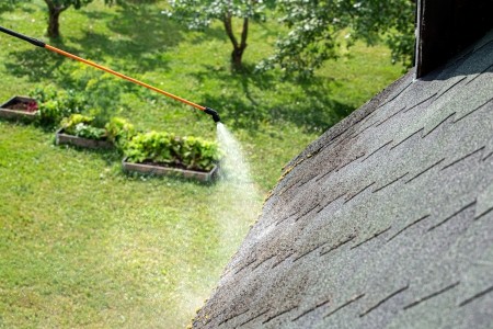 Roof algae vs dirt how to tell what your beacon roof really needs