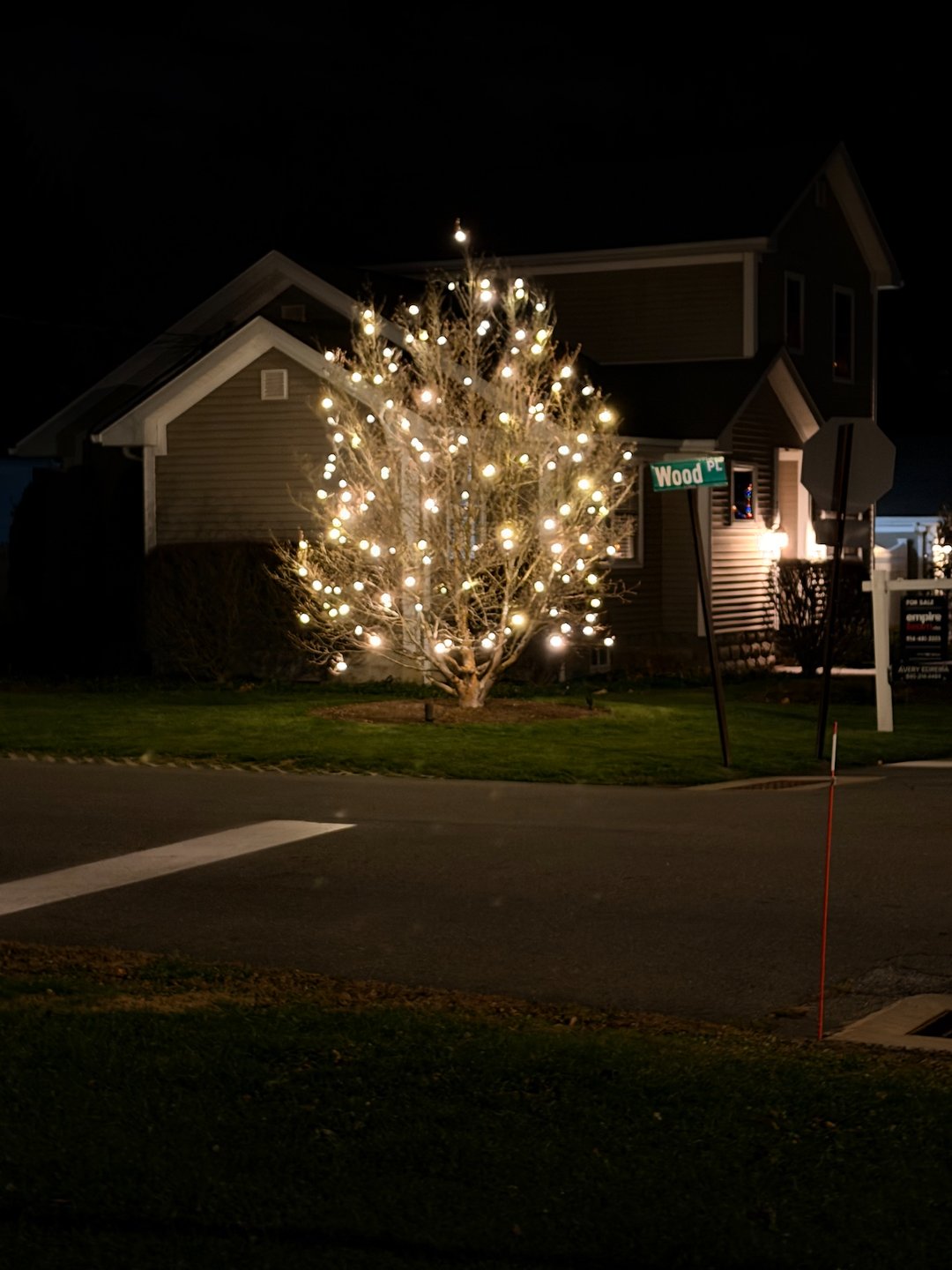 Christmas lights tree wrapping in Fishkill, NY
