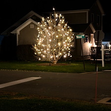 Christmas-lights-tree-wrapping-in-Fishkill-NY 0